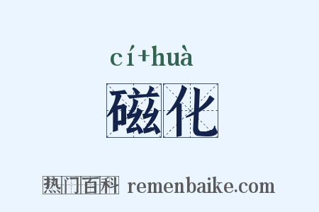 磁化是什么意思的图片